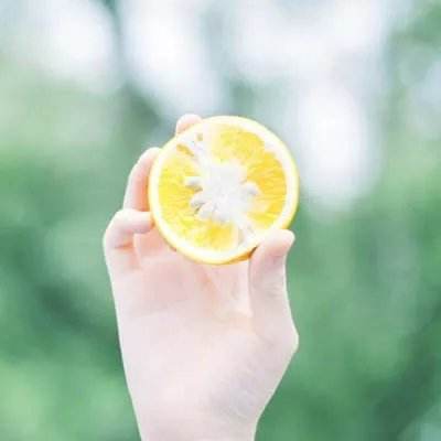 学院混战记手机游戏下载
